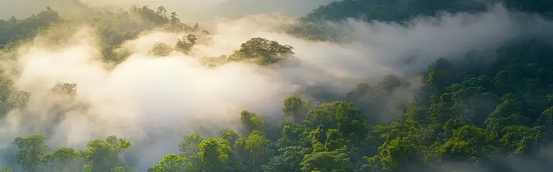 Environmental Responsibility