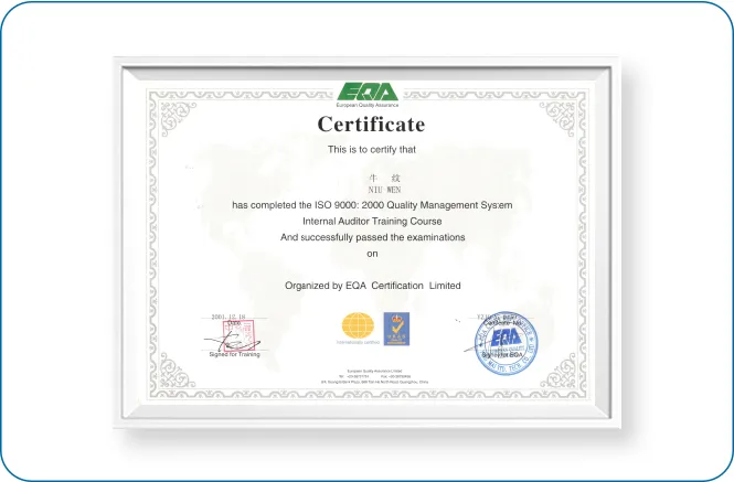 WCO AEO Advanced Certification