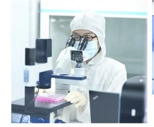 Cell-based evaluation